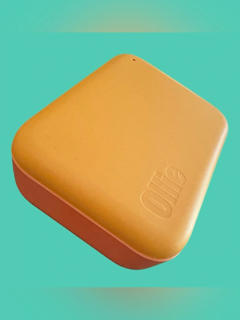 BNIB Ollie Puptainer Food Storage Container w/Scoop 7.98